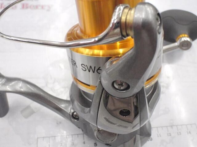 Shimano 10 BIOMASTER SW 6000HG Spinning Reel Gear Ratio 5.7:1 F/S from Japan