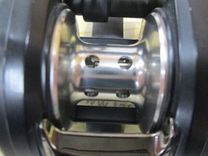 Daiwa TD-Z BIGBAIT SPECIAL Right-handed Baitcasting Reel Gear 5.7:1 F/S from JP