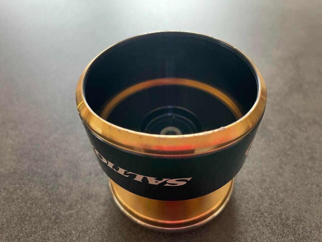 Daiwa SLP WORKS 20 SALTIGA Spare Spool Gold 8000 F/S from Japan