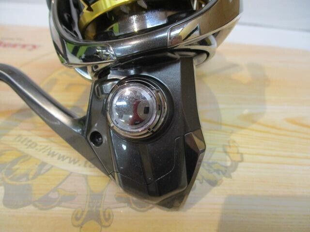 Shimano 20 TWIN POWER 4000PG Spinning Reel Gear Ratio 4.4:1 260g F/S from Japan