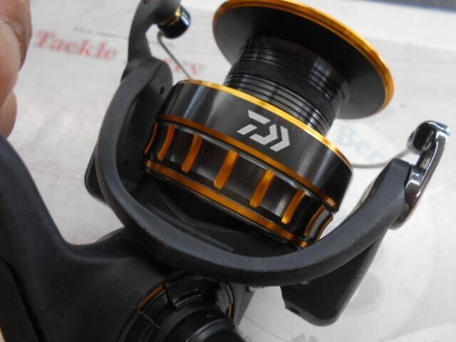 Daiwa 16 BG 4000 Spinning Fishing Reel Gear Ratio 5.7:1 405g F/S from Japan