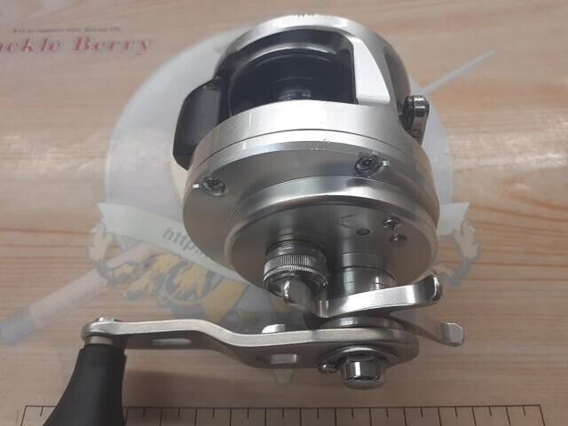 Shimano 13 OCEA CALCUTTA 300 HG 6.0:1 Baitcast Reel 350g Right Hand F/S from JP