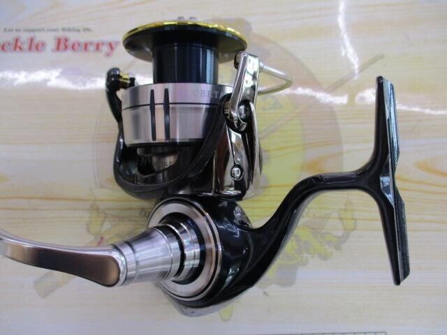 Daiwa Spinning Reel 19 CERTATE LT5000D-XH Gear Ratio 6.2:1 295g F/S from Japan