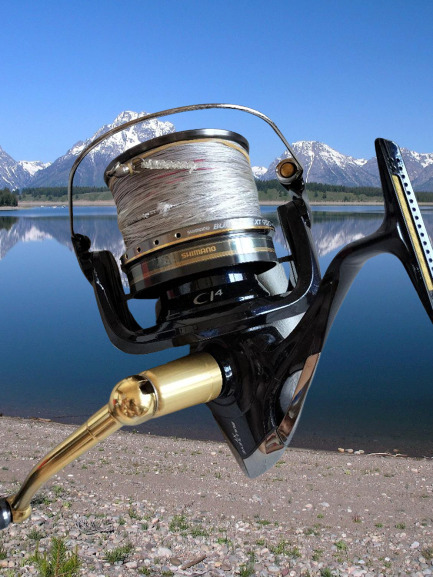 Shimano 09 BULLSEYE XT9120 3.9:1 Long Throw Spinning Reel F/S from Japan