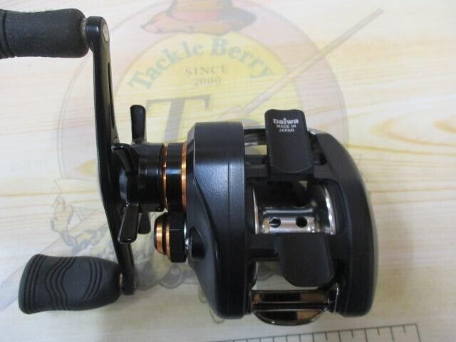 Daiwa TD-Z BIGBAIT SPECIAL Right-handed Baitcasting Reel Gear 5.7:1 F/S from JP