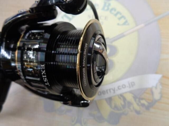 Daiwa EXIST HYPER BRANZINO CUSTOM 2508R Spinning Reel Gear 6.0:1 F/S from Japan