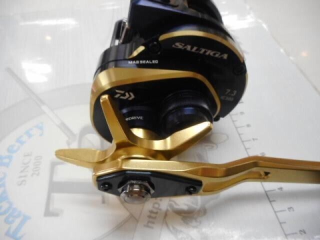 Daiwa 21 SALTIGA IC 300HL-SJ Left Baitcast Reel Gear Ratio 7.3:1 F/S from Japan