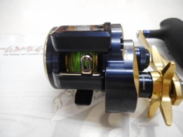 Daiwa 21 SALTIGA IC 300HL-SJ Left Baitcast Reel Gear Ratio 7.3:1 F/S from Japan