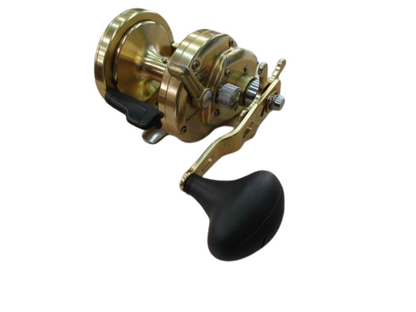 Shimano Ocea Jigger 3000P 565g Baitcast Reel Gear Ratio 5.1:1 F/S from Japan