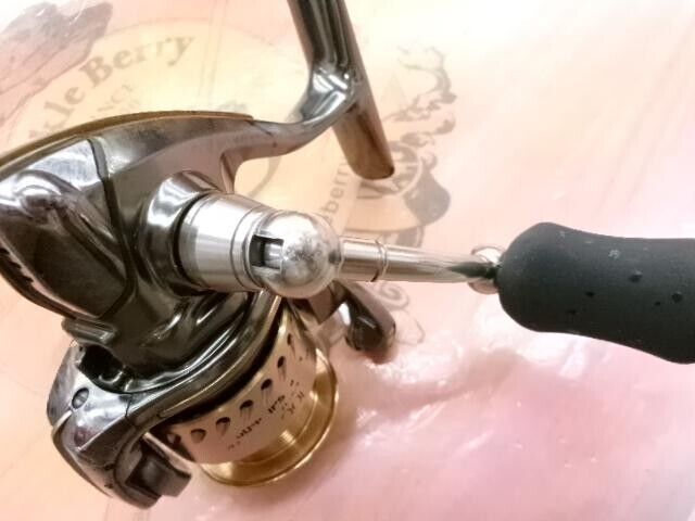 Shimano 04 Stella 1000 Spinning Reel Gear Ratio 5.2:1 Free Shipping from Japan