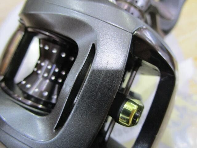 Daiwa STEEZ 103HL 6.3:1 Left Handle Baitcasting Reel Gear 6.3 F/S from Japan