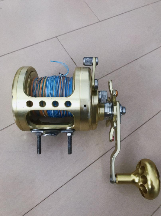 Daiwa SEALINE 600GM Right Handle Saltwater Reel Gear Ratio 4.2:1 F/S from Japan