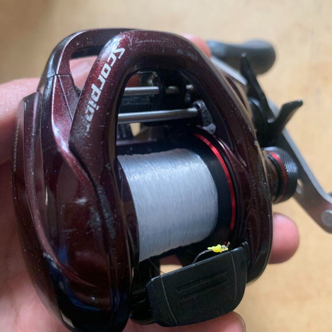 Shimano 14 SCORPION 200 HG Baitcast Reel Right 210g Gear Ratio 7.2:1 F/S from JP