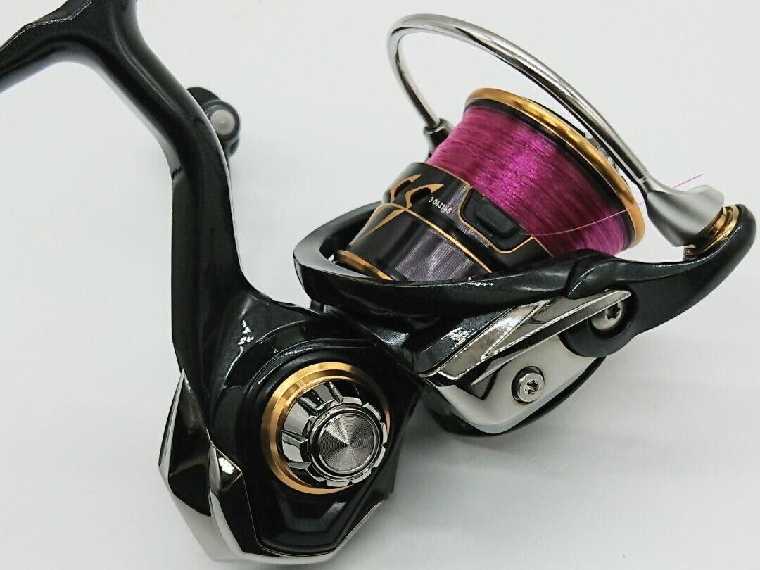 Daiwa 21 CALDIA FC LT2000S-H Spinning Reel Gear Ratio 5.8:1 175g F/S from Japan